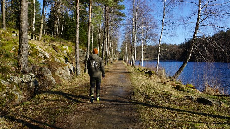 Vandring intill Bjursjön