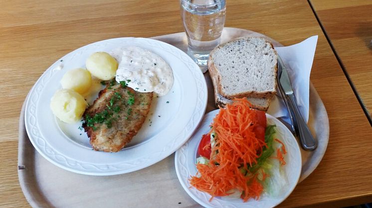 Dåliga förutsättningar för skollunchen