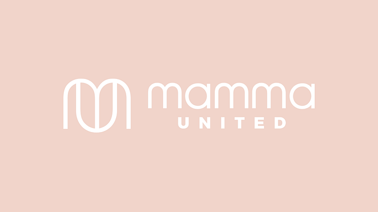 Ideella föreningen Mamma United får 2 miljoner för att hjälpa kommunerna finansiera förebyggande arbete i socioekonomiskt eftersatta områden