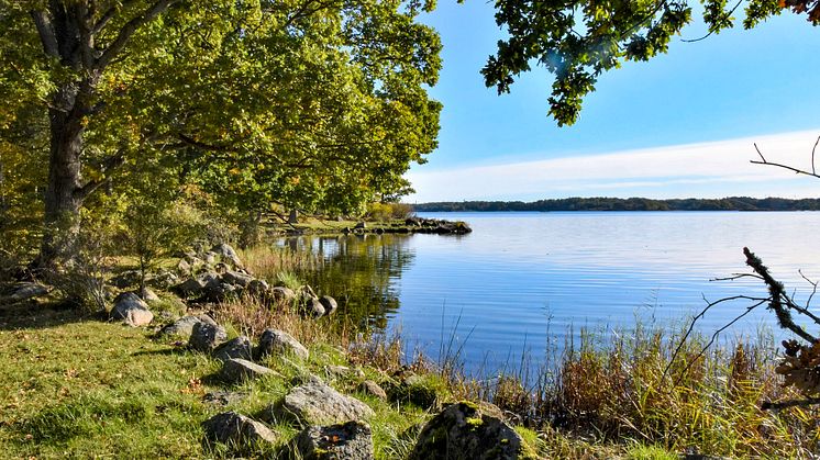 Skärva naturreservat lockar många att vandra och cykla.