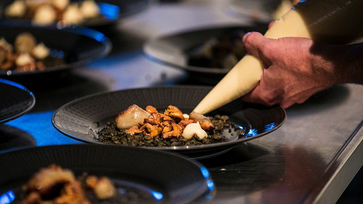 Utstickarpriset 2017 - Tempeh, rökt rotselleripuré, bakad jordärtskocka, kantareller, rödbetsblad, Abisko · 