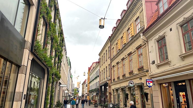 Nu har några av Wallenstams minsta hyresgäster precis flyttat in i sina bihotell på Södra Larmgatan i Göteborg. Bihotellen här är ett av flera initiativ från Wallenstam för att bidra till den biologiska mångfalden.