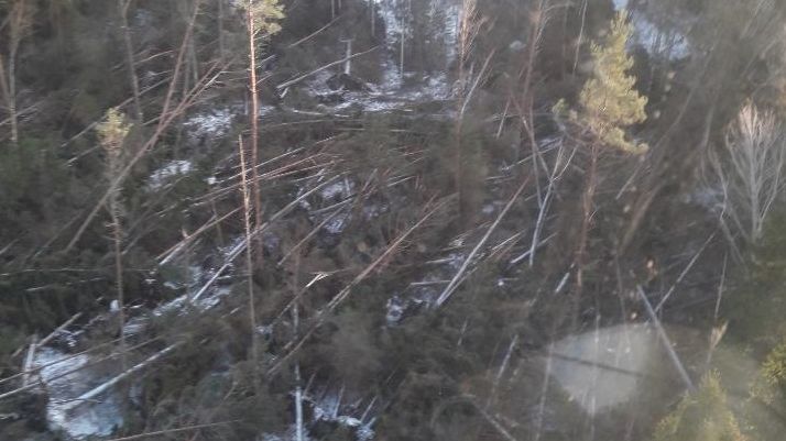 Presskonferens ang stormen Alfrida med Vattenfall och Norrtälje kommun 7/1 kl 11.30