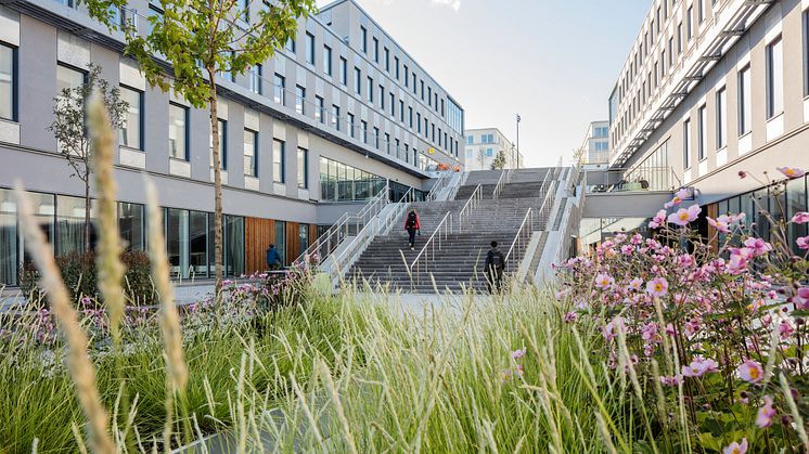 Campus Albano i Stockholm. Foto: Jesper Orrbeck.