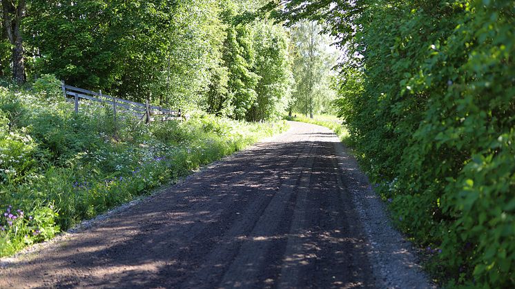 Örtenästorp väg.jpg