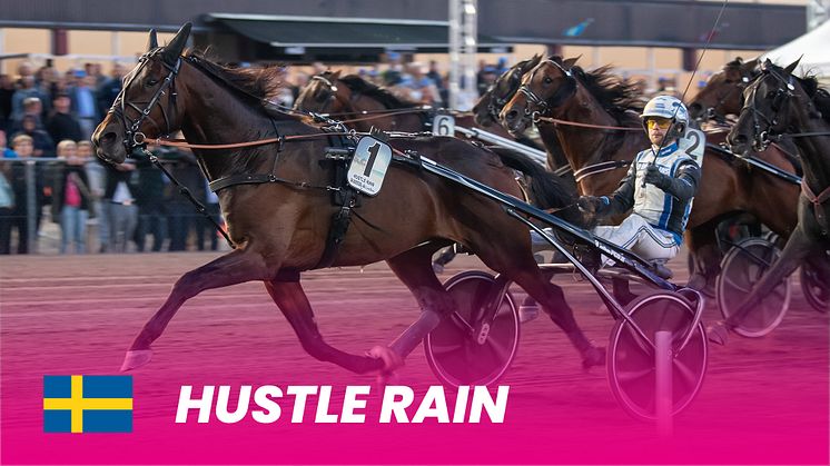 HustelRain