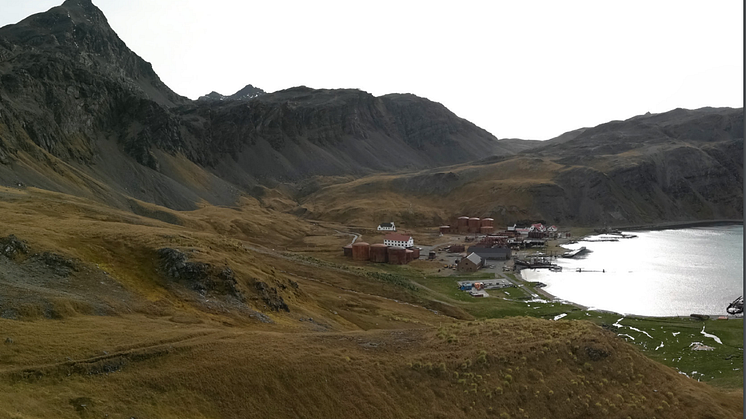 Grytviken from viewpoint