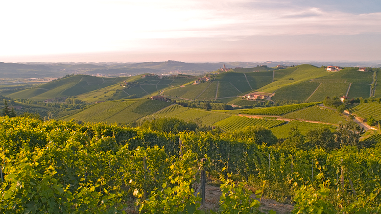 Djupdykning i Piemonte