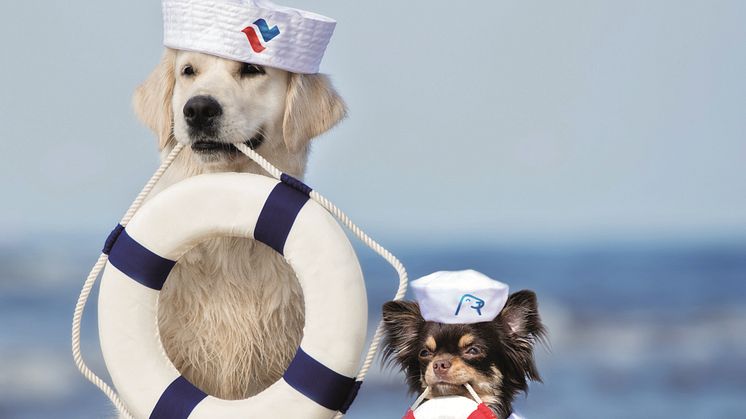 fotolia_hunde_logos_TS