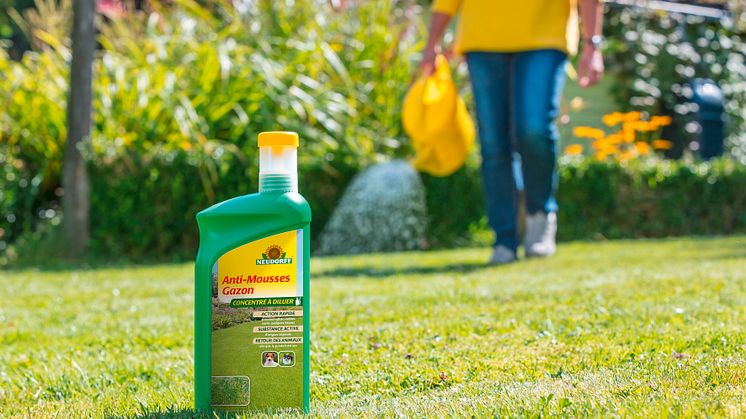 Combattre la mousse dans le gazon rapidement et en douceur – avec L’Anti-Mousses Gazon Concentré de Neudorff