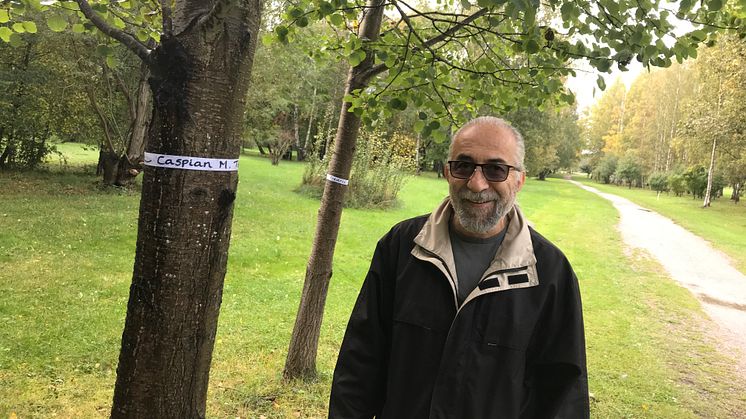 Adopterade träd i Järva DiscGolfPark