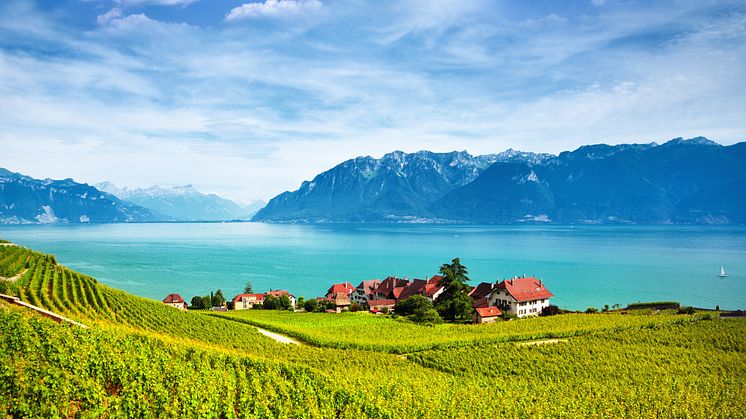 Genfersee mit den Weinterrassen von Lavaux. © antares71