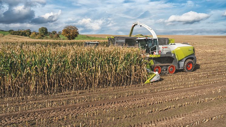 TERRA TRAC_4