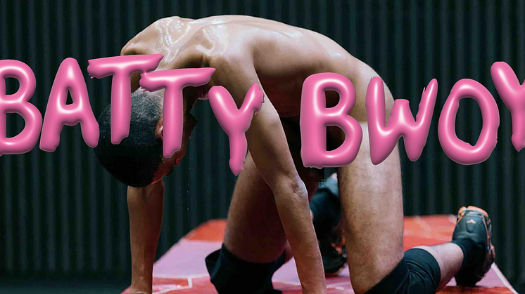 bilder hemsida 2014x1024_batty.png