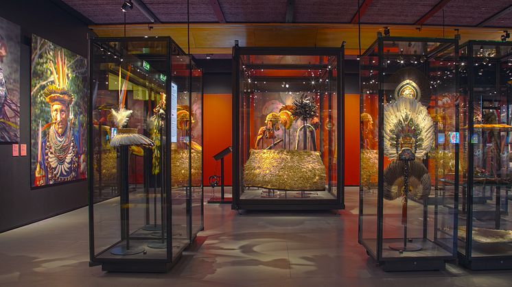 Sista chansen att se utställningen Feathers på Etnografiska museet