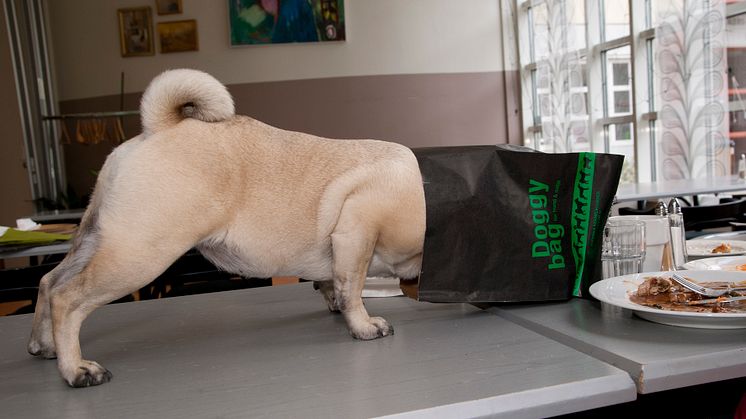 Svenska Kennelklubbens lanserar egen doggy bag