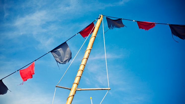 Stopp för svenskt laxfiske i Östersjön