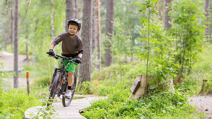 Järvsö MTB Bike Camp. Foto Destination Järvsö