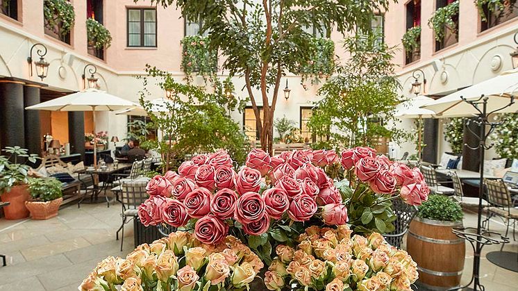 Sveriges bedste boutiquehotel er fundet – MJ’S i Malmø