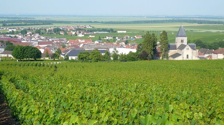 Pierre Péters - Grand Cru - Le Mesnil