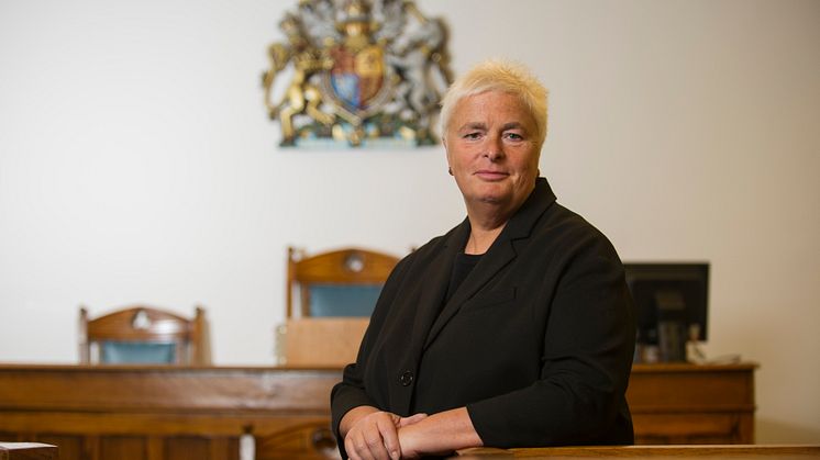 New book looks at how courts make child protection decisions