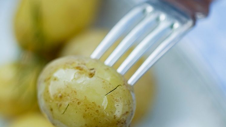 Färskpotatis festivalerna i Skåne