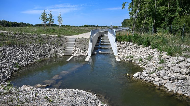 20230630_Fischwanderhilfe Donauwörth