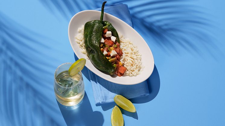 Discover Airlines_Poblano Chili
