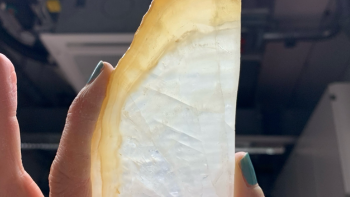 A thick section of stalagmite, taken from a cave SA09. Photo credit Dr Monika Markowska.png