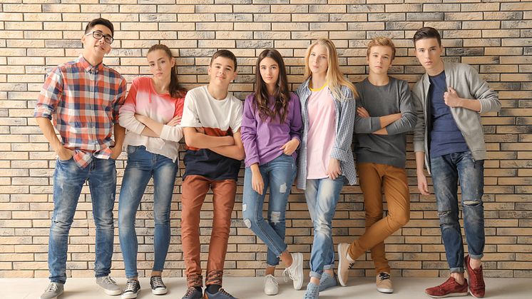 Die befragten Schüler waren vor allem in sozialen Netzwerken wie WhatsApp  und YouTube unterwegs. Foto: Fotolia / Africa Studio
