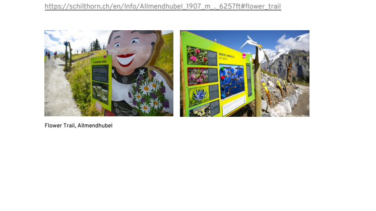 Allmendhubel - Flower Trail  