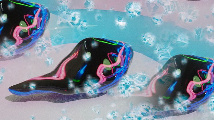NeonGirl x Ingrid Arnsand - 3D-printade kreationer OtherLands.jpg