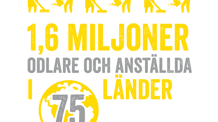 Fairtrade omfattar 1,6 miljoner odlare och anställda i 75 länder