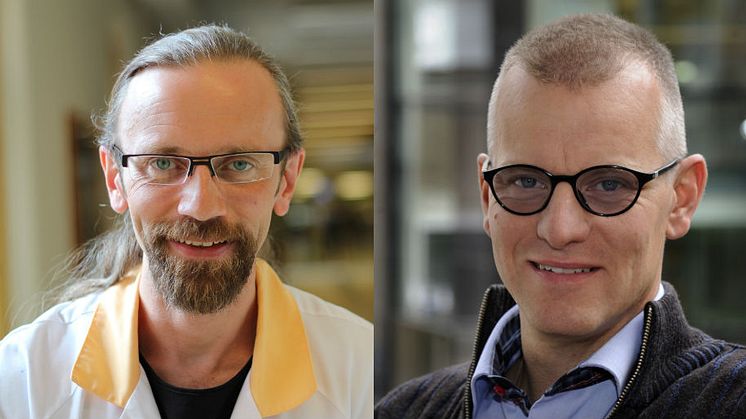 ​”Alzheimerfondens stora forskningspris” på 5 miljoner kronor delas av två forskare