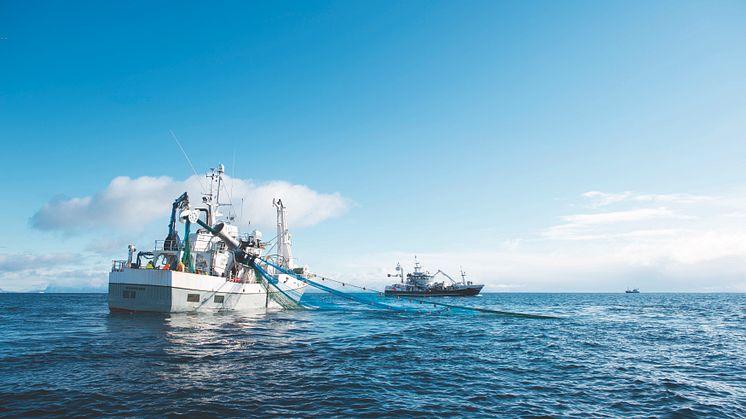 Norwegische Meeresfrüchtexporte nehmen mehr als doppelt in den vergangenen 10 Jahren zu