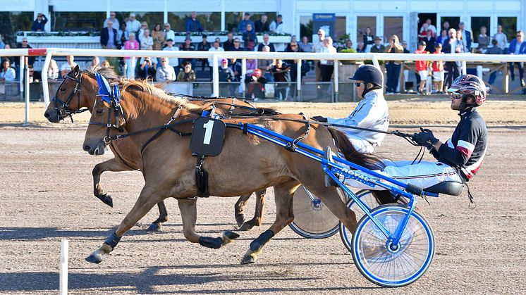 Hästarnas Mästare på Jägersro - Gretzer och Kolgjini
