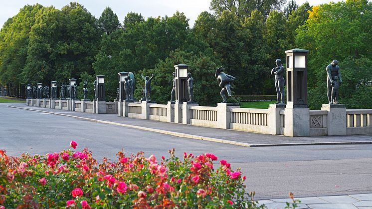 Vigelandsparken_Broen og roser