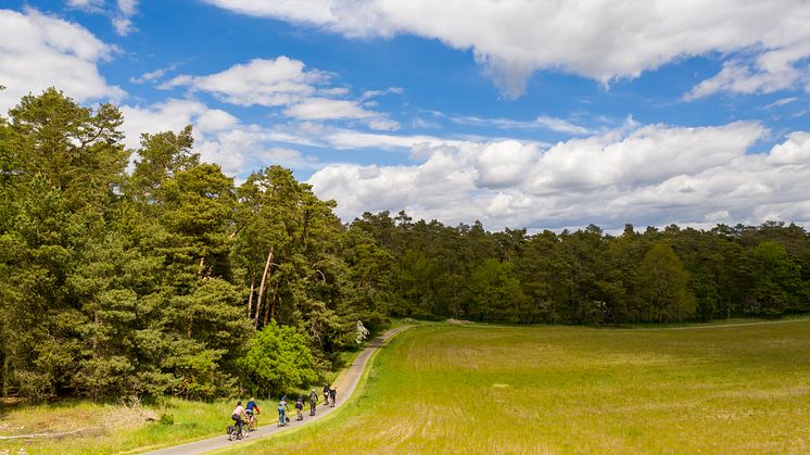 Radtouren in Brandenburg sind sehr beliebt. Foto: TMB-Fotoarchiv/Steffen Lehmann.
