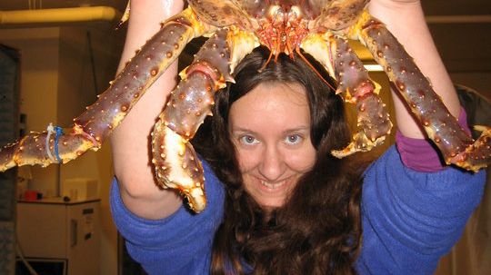 PostDoc Snow Crab