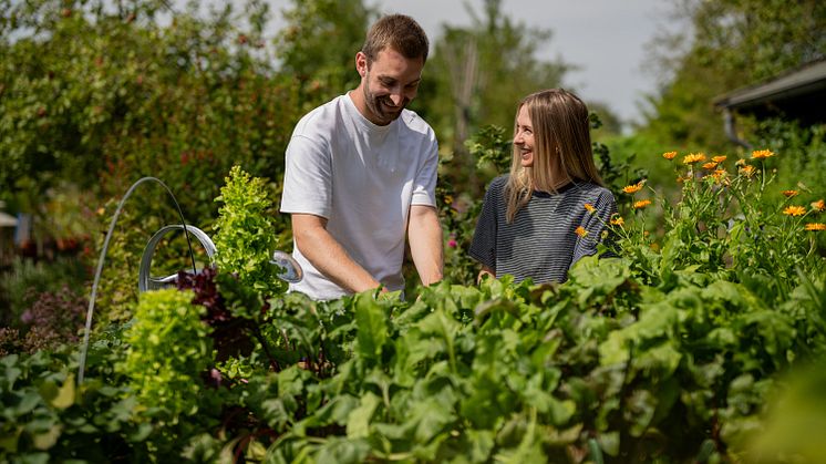 Gemüseanzucht gelingt im Hochbeet besonders gut. Sechs Floragard-Tipps für Selbstversorger.