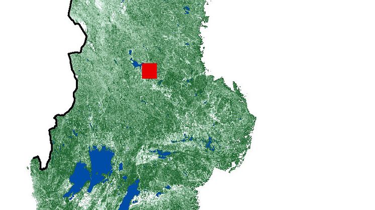 Ny digital skogskarta från SLU