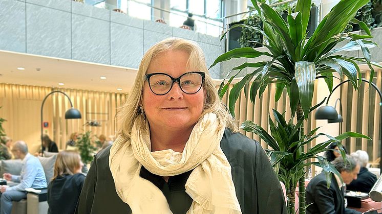 some-ingibjörg-jonsdottir-1200x628.jpg