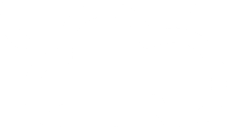 LG-Steam-Icon-White.png