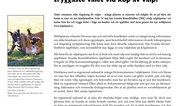 Köpahund.se – tryggaste valet vid köp av valp!