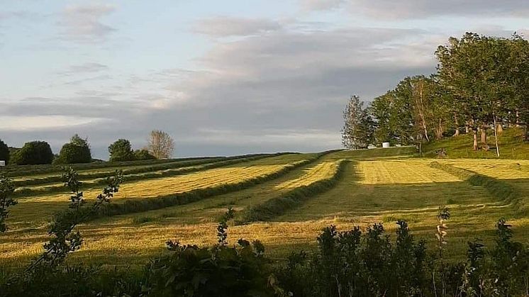 Hållbart jordbruk