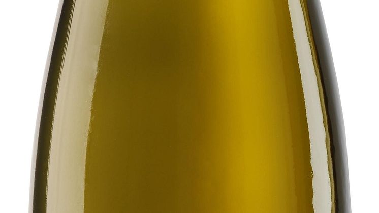 Lansering av Gustav Adolf Schmitt Riesling Trocken