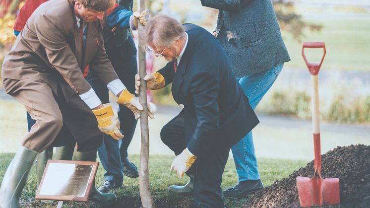 Paal Alme, informasjonsdirektør i Norges forskningsråd, planter et tre sammen  med Gudmund Hernes i forbindelse med Forskningsdagene i 1995. Foto: Morten Ryen/Norges Forskningsråd