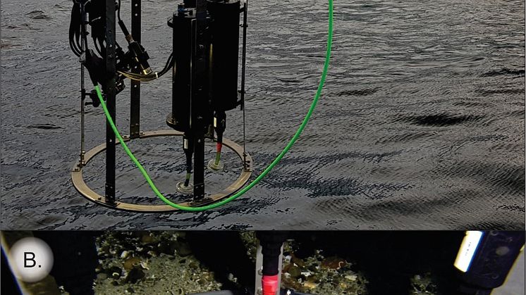 En Substrate- independent benthic sampler (SIBS)
