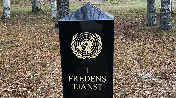 MInnessten.jpg