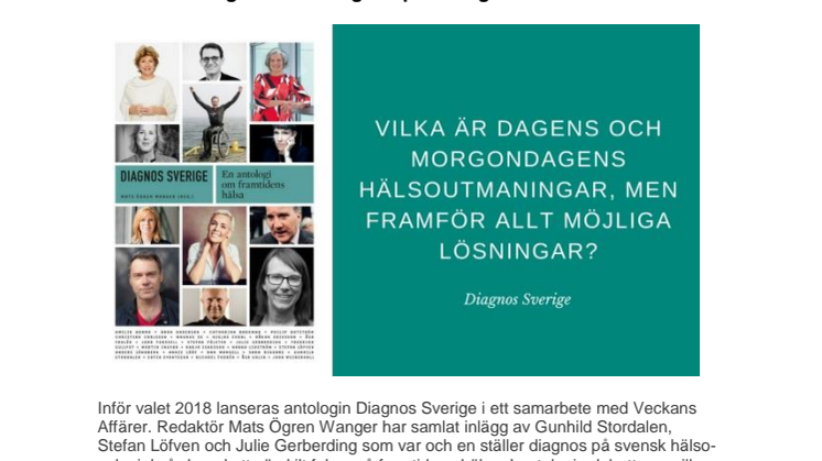 Beslutsfattare ställer diagnos på Sverige 